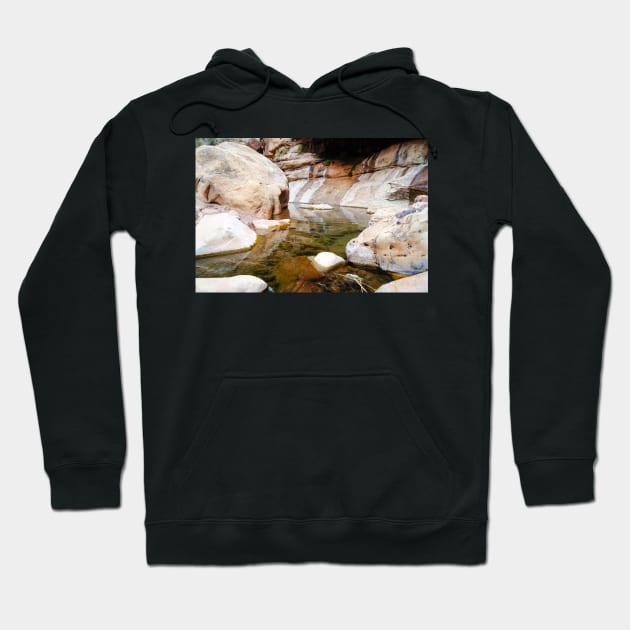 rli reflection Hoodie by pcfyi